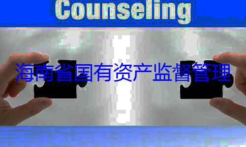 委副书记王海南省国有资产监督管理委员会党查调查有福接受审